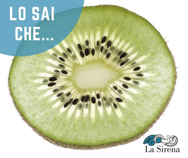 kiwi migliorano il sonno